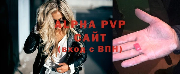 ECSTASY Елизово